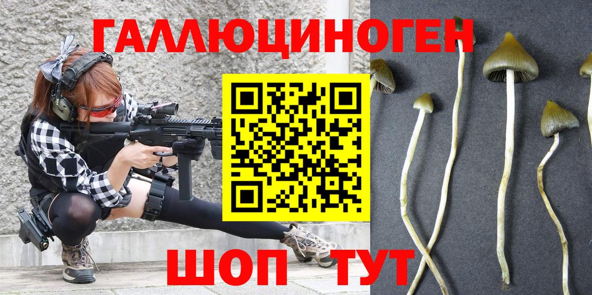 Псилоцибиновые грибы мицелий Дзержинск