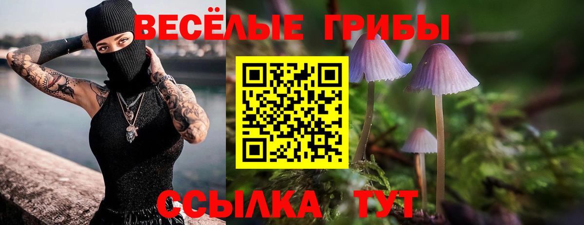 Галлюциногенные грибы Psilocybe  Вход с VPN  Дзержинск 
